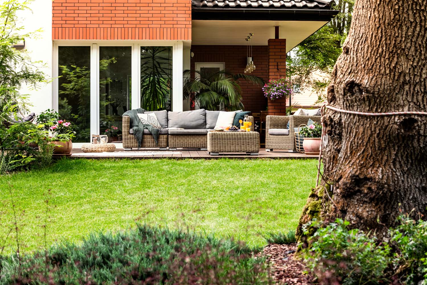 backyard3